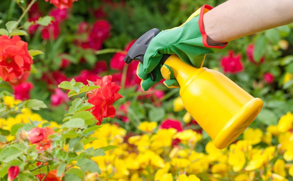 How To Get The Best Insecticides For Your Flower Garden Decor Plan