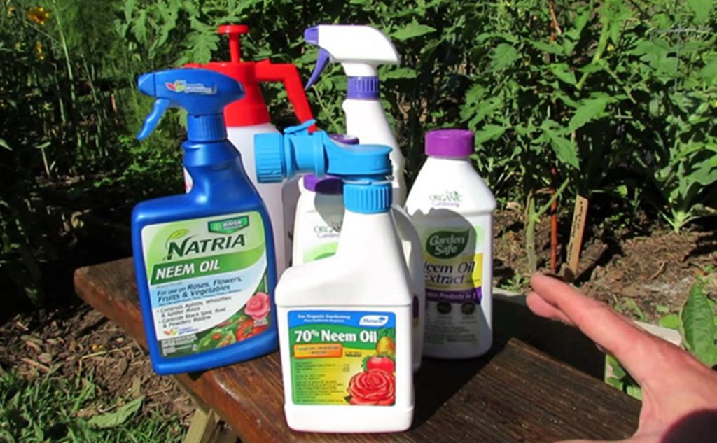 How To Get The Best Insecticides For Your Flower Garden Decor Plan
